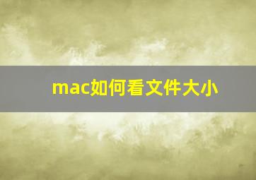 mac如何看文件大小