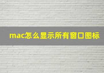 mac怎么显示所有窗口图标