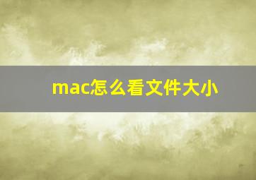 mac怎么看文件大小