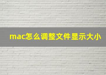 mac怎么调整文件显示大小