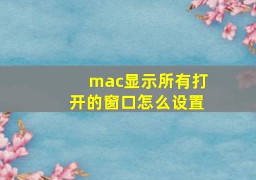 mac显示所有打开的窗口怎么设置