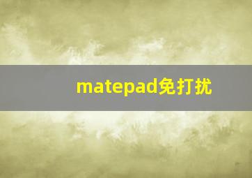 matepad免打扰