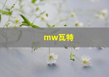 mw瓦特