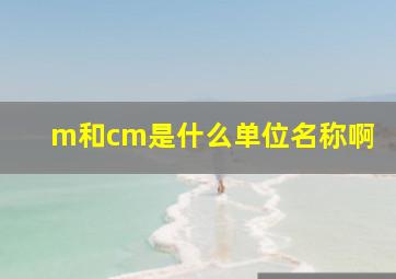 m和cm是什么单位名称啊