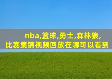 nba,篮球,勇士,森林狼,比赛集锦视频回放在哪可以看到