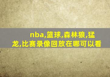 nba,篮球,森林狼,猛龙,比赛录像回放在哪可以看