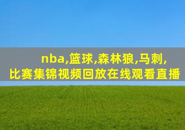 nba,篮球,森林狼,马刺,比赛集锦视频回放在线观看直播