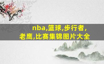 nba,篮球,步行者,老鹰,比赛集锦图片大全