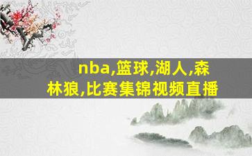 nba,篮球,湖人,森林狼,比赛集锦视频直播