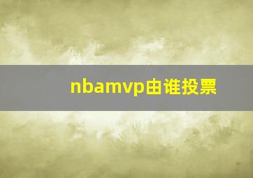 nbamvp由谁投票