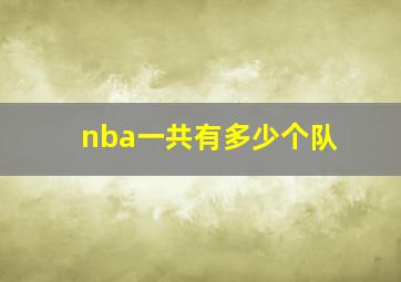 nba一共有多少个队