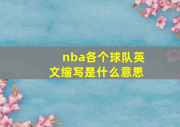 nba各个球队英文缩写是什么意思