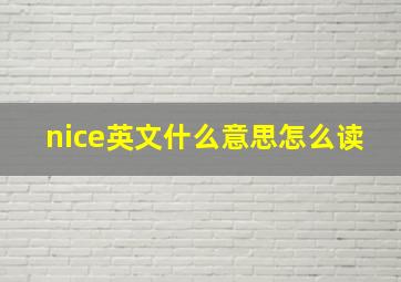 nice英文什么意思怎么读