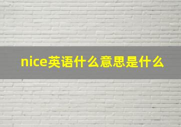 nice英语什么意思是什么