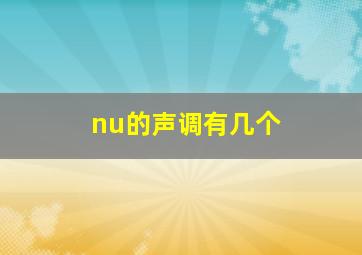 nu的声调有几个