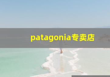 patagonia专卖店