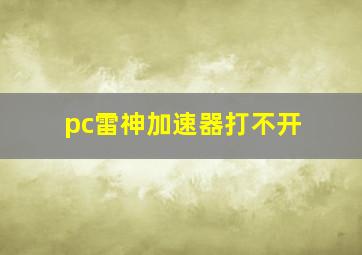 pc雷神加速器打不开