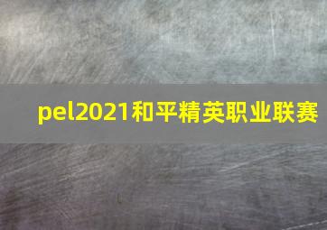 pel2021和平精英职业联赛