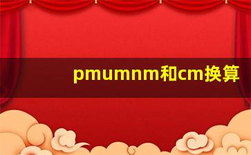 pmumnm和cm换算