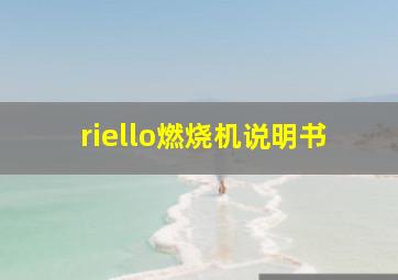 riello燃烧机说明书