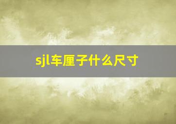 sjl车厘子什么尺寸