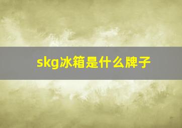 skg冰箱是什么牌子