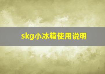 skg小冰箱使用说明