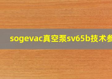 sogevac真空泵sv65b技术参数