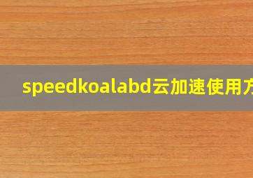 speedkoalabd云加速使用方法