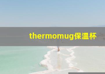 thermomug保温杯