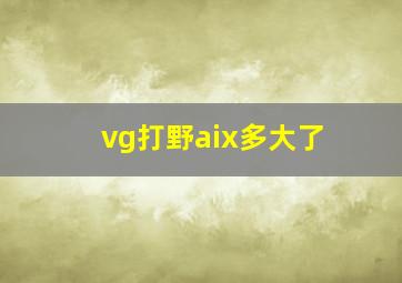 vg打野aix多大了