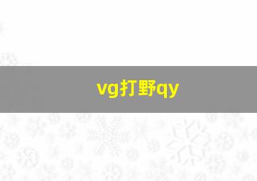 vg打野qy