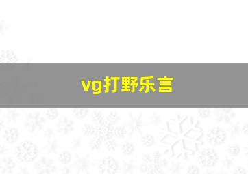 vg打野乐言