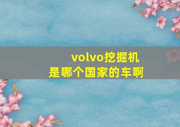 volvo挖掘机是哪个国家的车啊