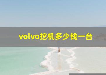 volvo挖机多少钱一台