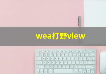 wea打野view