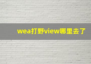 wea打野view哪里去了