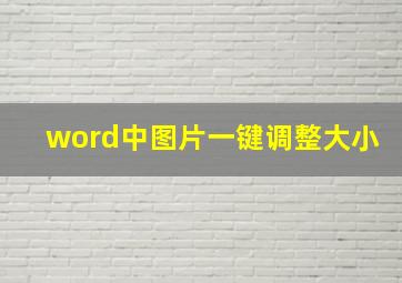 word中图片一键调整大小