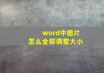 word中图片怎么全部调整大小