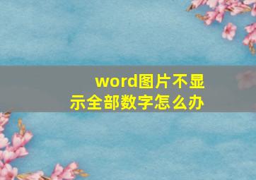 word图片不显示全部数字怎么办