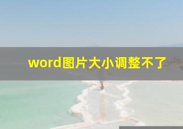 word图片大小调整不了