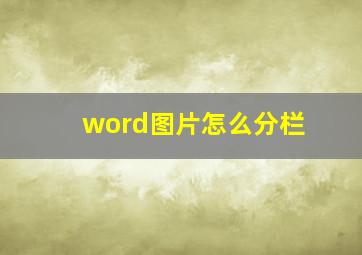 word图片怎么分栏