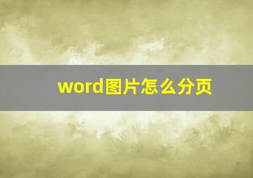 word图片怎么分页