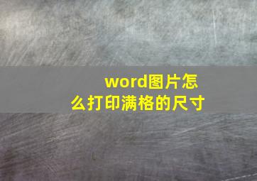 word图片怎么打印满格的尺寸