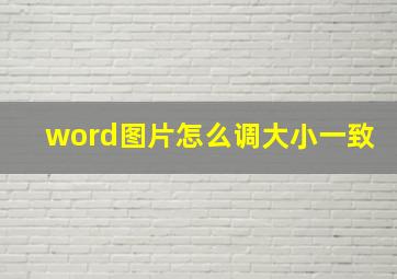 word图片怎么调大小一致