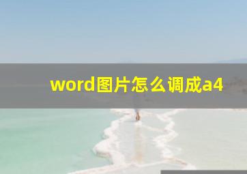 word图片怎么调成a4