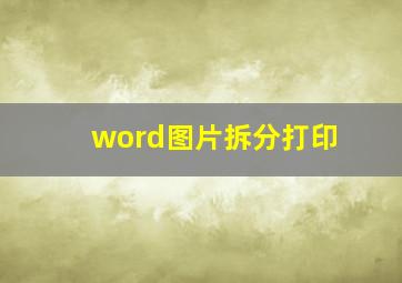 word图片拆分打印