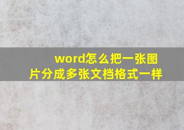 word怎么把一张图片分成多张文档格式一样