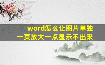 word怎么让图片单独一页放大一点显示不出来