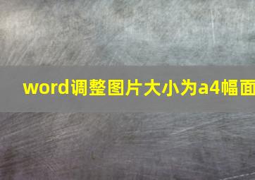 word调整图片大小为a4幅面